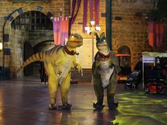 -郑州方特梦幻王国