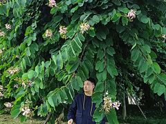 -白鹭湾湿地公园