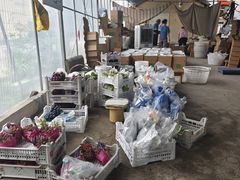 -马陆小张葡萄园农家乐