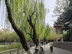 -莲湖公园