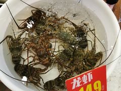 -御唐府海珊瑚主题餐厅