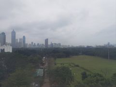 -万绿园