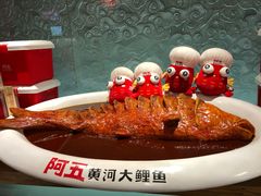 -阿五黄河大鲤鱼(英协路店)
