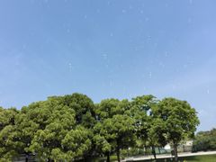 -上海佘山世茂艾美酒店