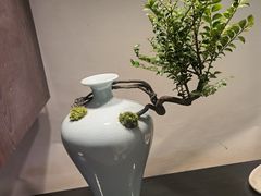 -双季花艺园艺市场(浦东店)