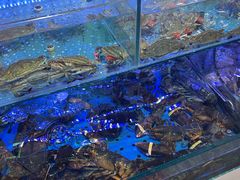 -日照大牌檔•小船海鲜(万平口店)