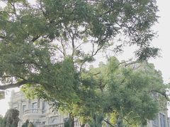 -张学良旧居陈列馆(大帅府)