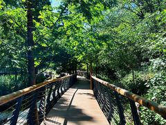 -白水寺森林公园