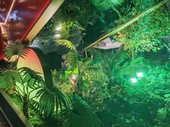 -鼎原力量东北吊炉烧烤(临河街店)