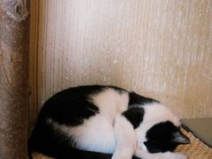 -萤火虫咖啡(后海店)