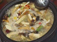 -菌之家·专业纯野生菌火锅·特色炒菌