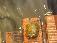 -子午足道(南门店)