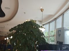 -花舍·新派粤菜·西餐·下午茶(亚运村·鸟巢店)