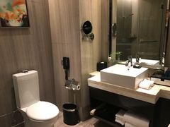 -常州环球恐龙城维景国际大酒店