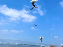 -海埂大坝
