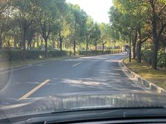 -上海佘山世茂艾美酒店