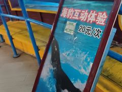 -太平洋海底世界