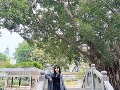 -人民公园(罗湖区)