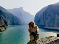 -白帝城·瞿塘峡景区