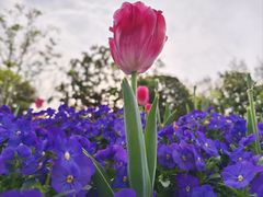 -闵行文化公园-停车场