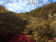 -关门山森林公园