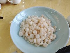 -富春茶社(国庆路店)