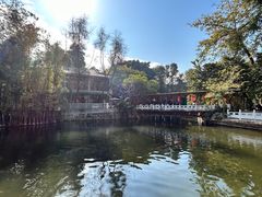 -荔湾湖公园