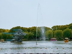 -上海鲜花港