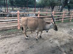 -西安秦岭野生动物园