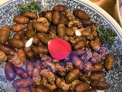 -鸽子窝(宋庄店)