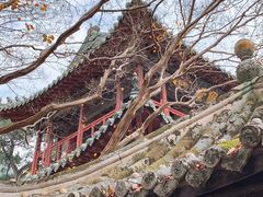 -报恩寺(平武县)