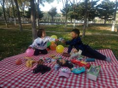 -大兴滨河森林公园