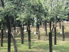 -秦皇岛野生动物园