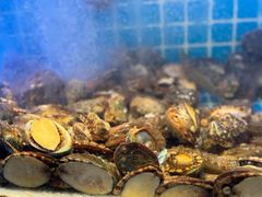 -喜庭海鲜自助(深圳万丰海岸城店)