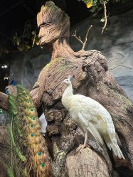 -Zoolung Zoolung动物主题公园(海信广场店)