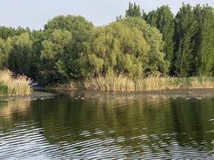 -微山湖红荷湿地景区