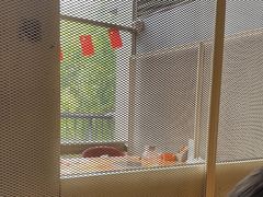 -生如夏花泰式火锅(西村黑金店)