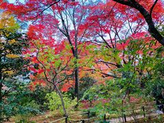 -常寂光寺
