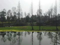 -桤木河湿地公园