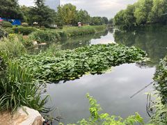 -丁家河公园
