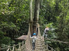 -西双版纳原始森林公园