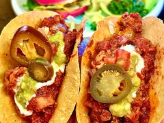 -Famous肥猫墨西哥音乐餐吧(五棵松华熙LIVE店)