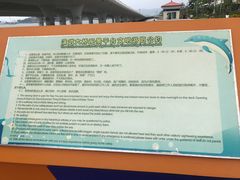 -演武大桥观景平台