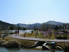 -石塘人家