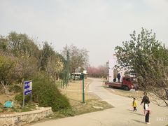 -北京鹫峰国家森林公园