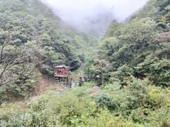 -罗田天堂寨风景区