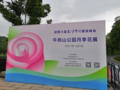 -牛岗山公园