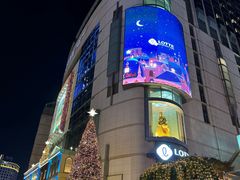 -乐天免税店(明洞店)