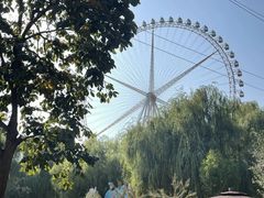 -辛玛王国游乐园