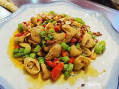 双椒肥肠-百年粉蒸牛肉